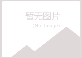 砚山县冰夏咨询有限公司